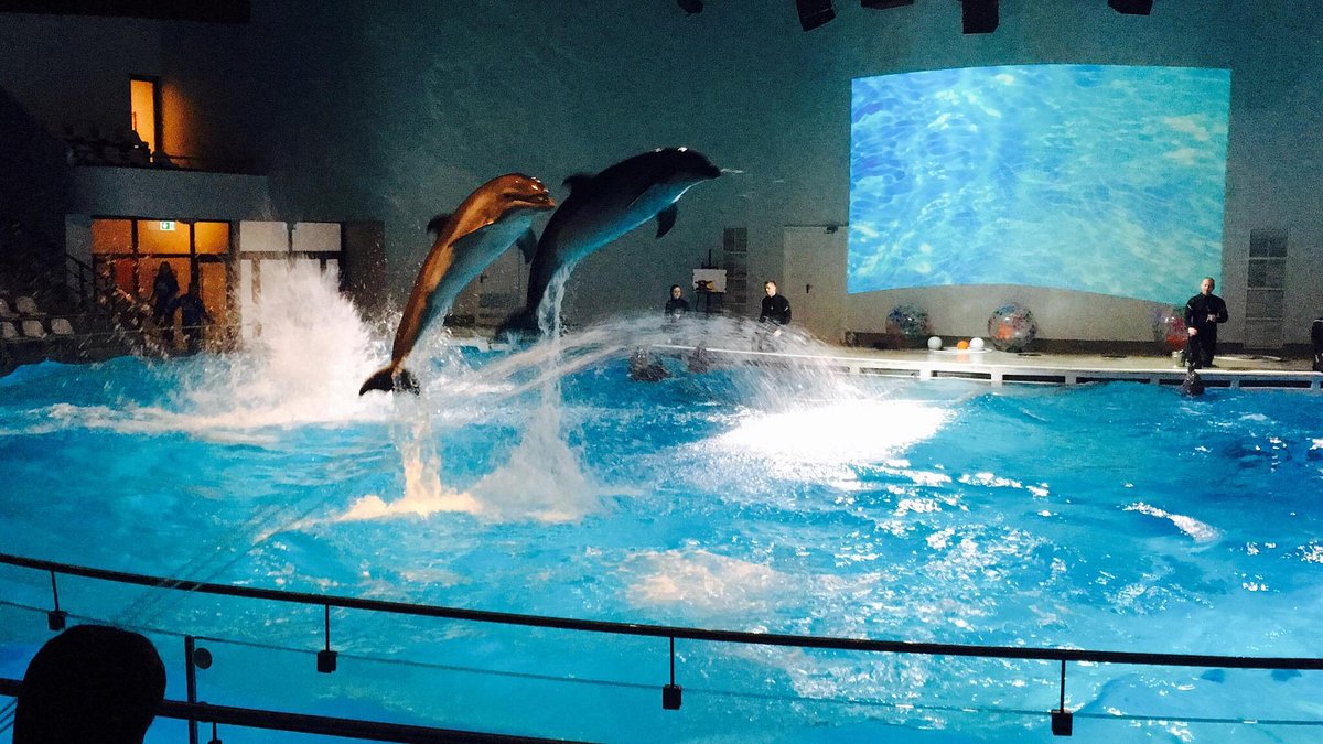 Lithuanian Sea Museum